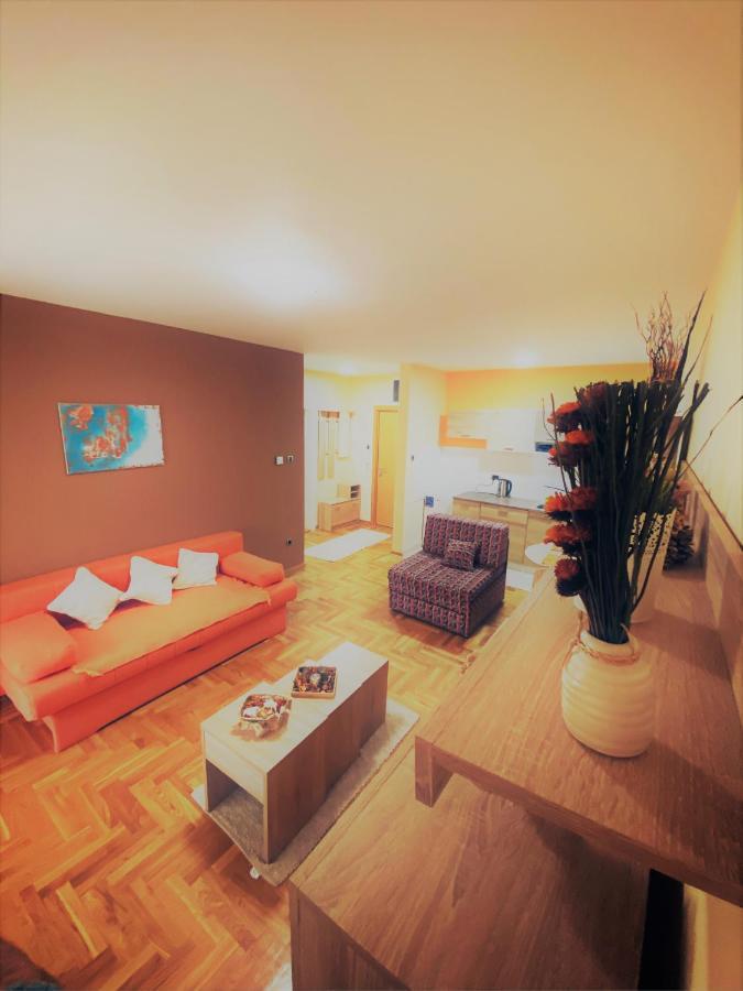 Apartment Vas Raj Novi Sad Bagian luar foto