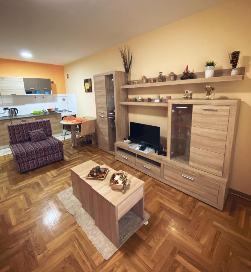 Apartment Vas Raj Novi Sad Bagian luar foto